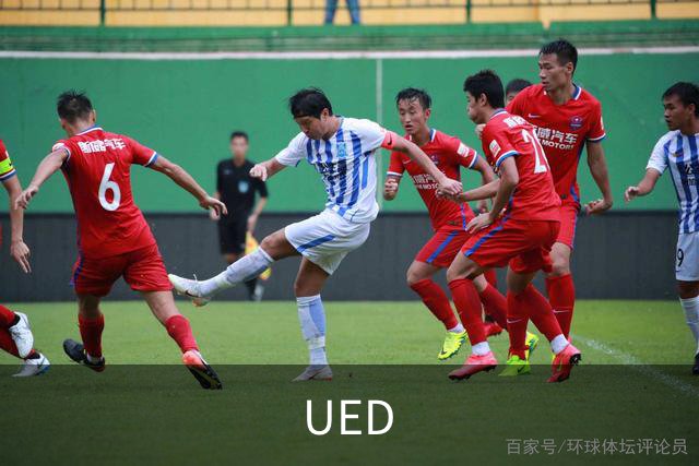 UED公司简介图片